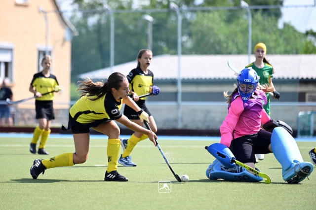 Hockey: Weibliche U14 steht im Halbfinale