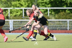 Hockey: Pfosten, Lara und Teamgeist: Freiberg trotzt Dresden ein Remis ab