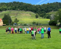 Hockey in den Weinbergen